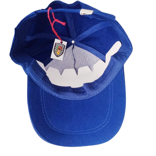 Gorra Martini Racing